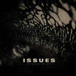 Issues : Princeton Ave